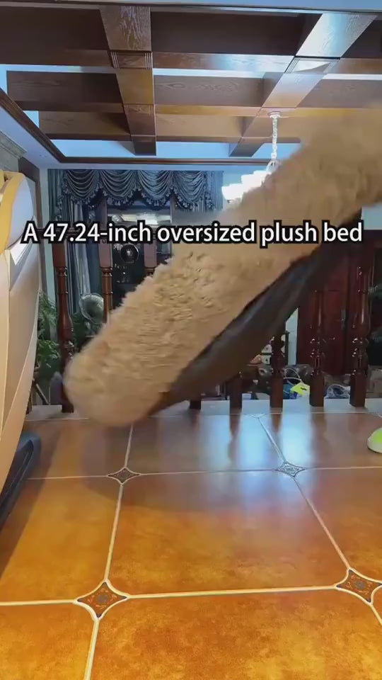 1.mp4